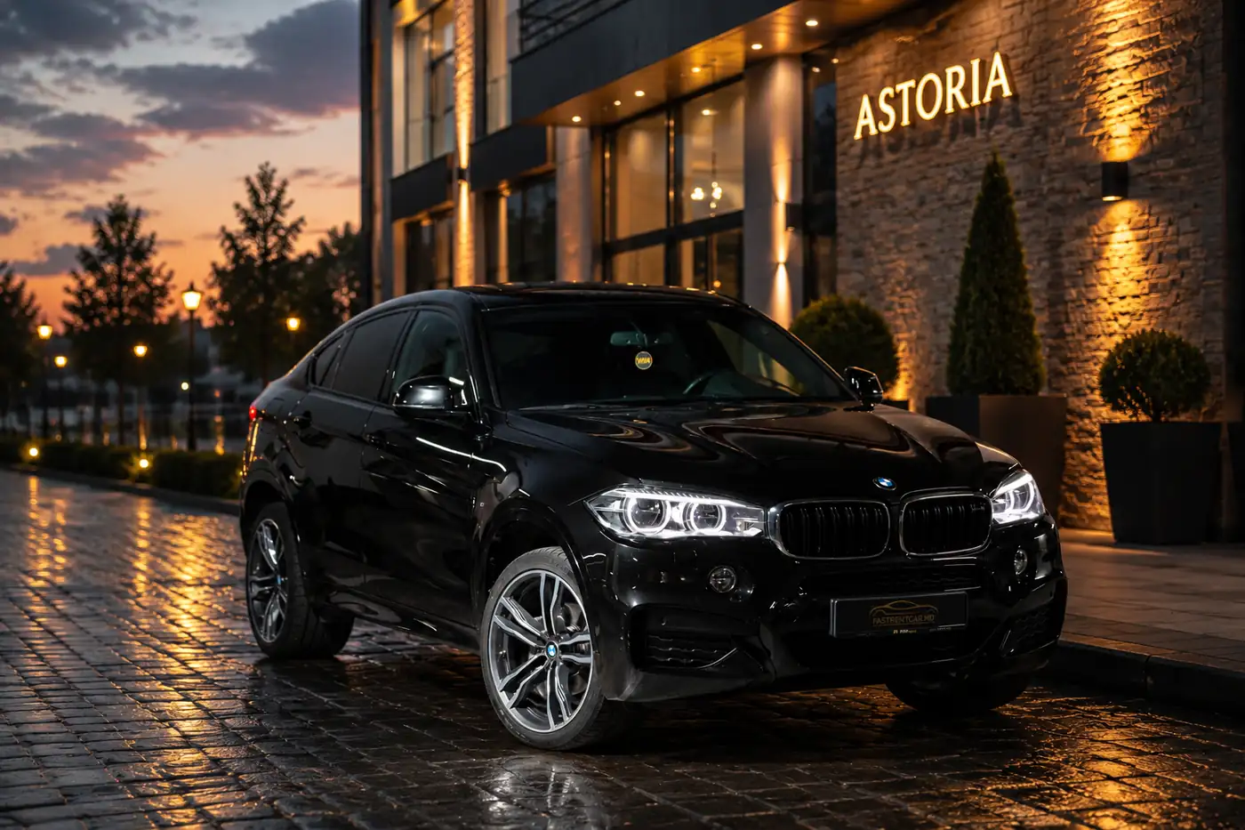 BMW X6